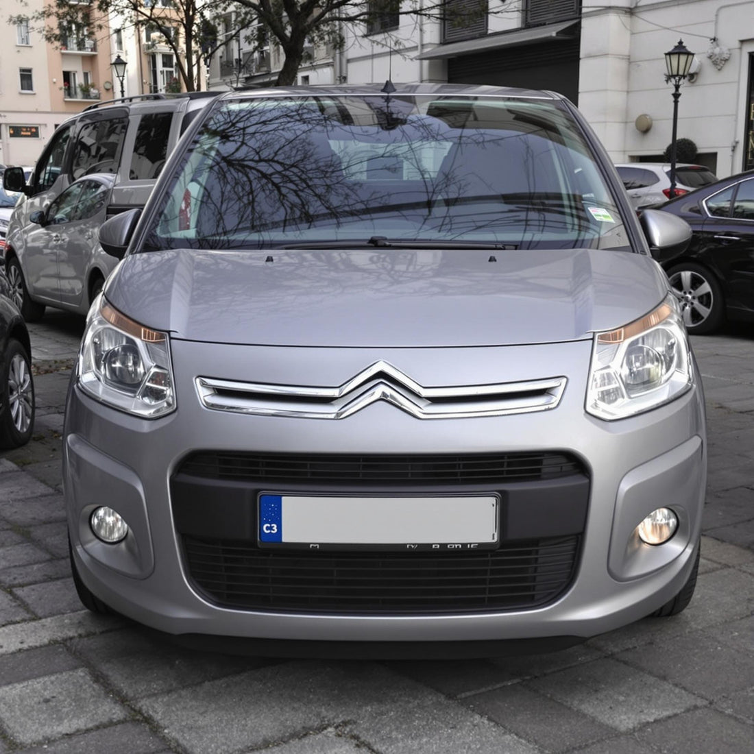 Citroën C3 Picasso Diesel 1.6 HDi in a city