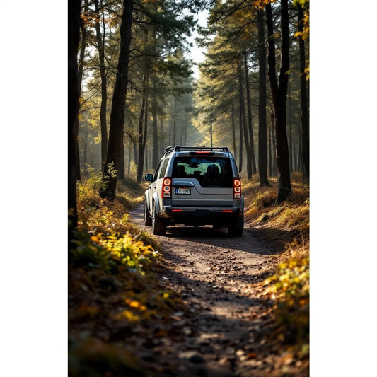Land Rover Discovery 3 TDV6 190 sur chemin forestier