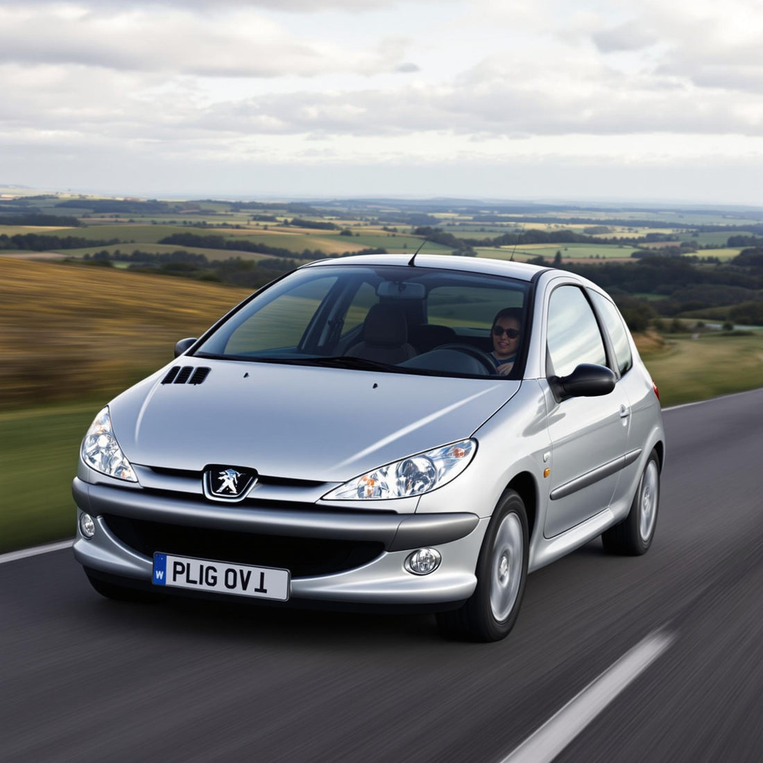 Peugeot 206 Diesel on a scenic road