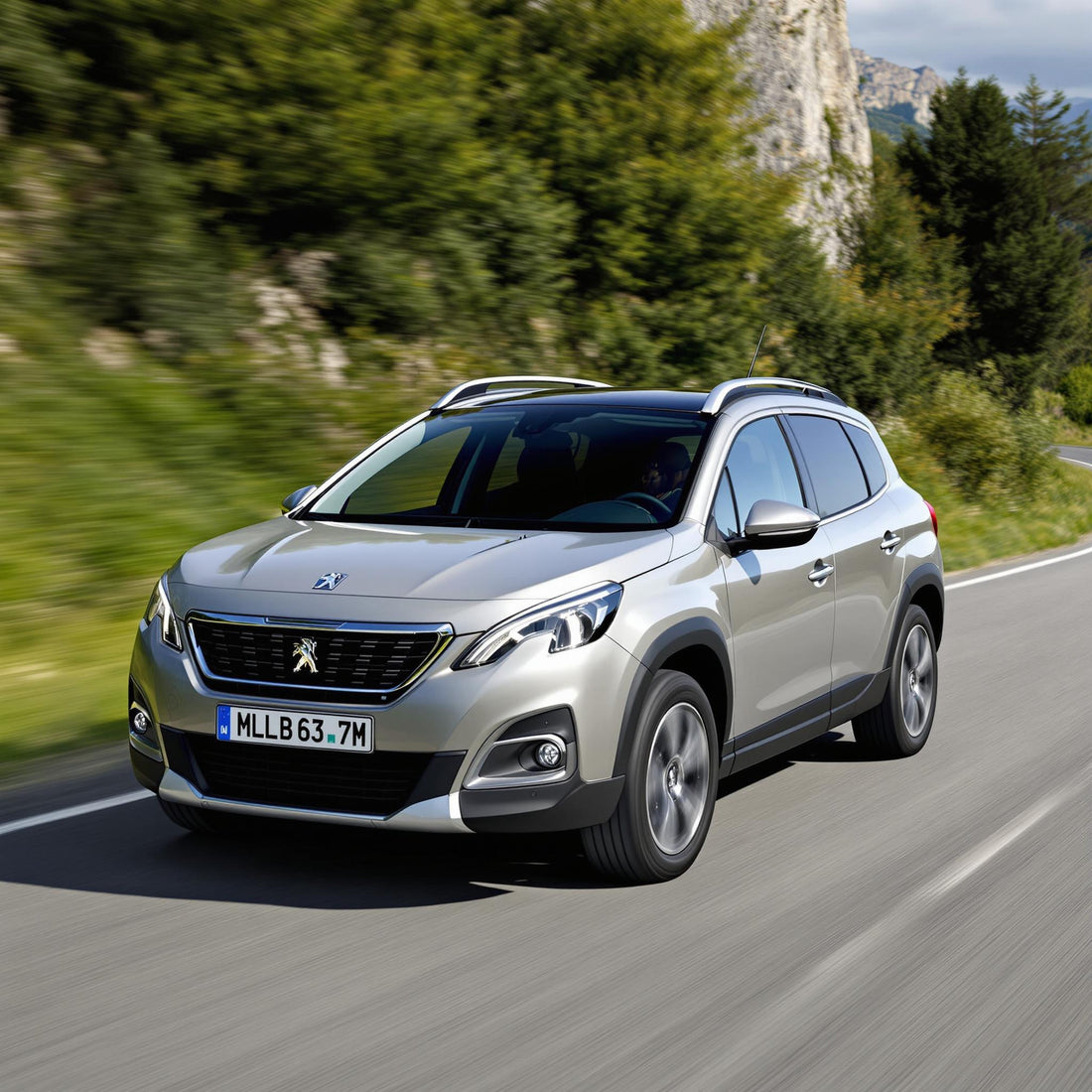 Peugeot 2008 I Diesel suv