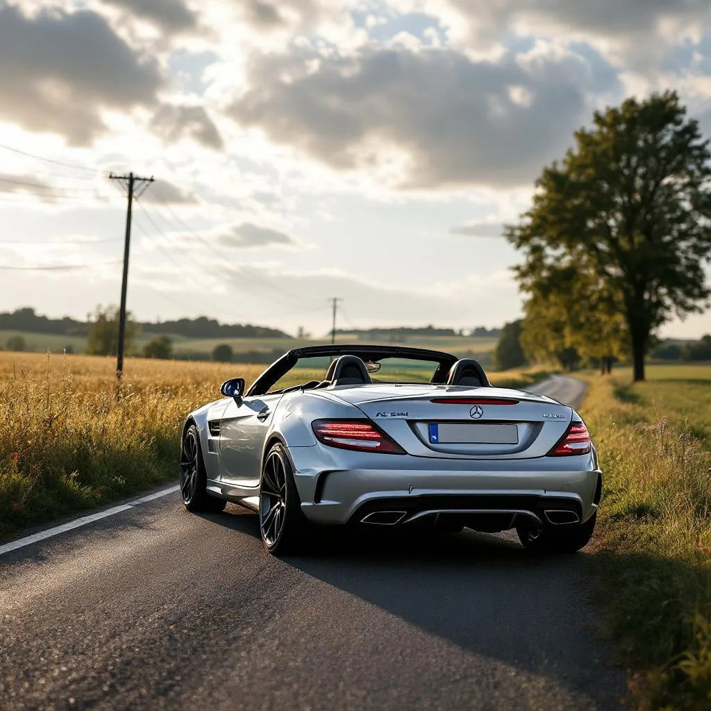 Mercedes SLK R171 200 Kompressor vue de profil