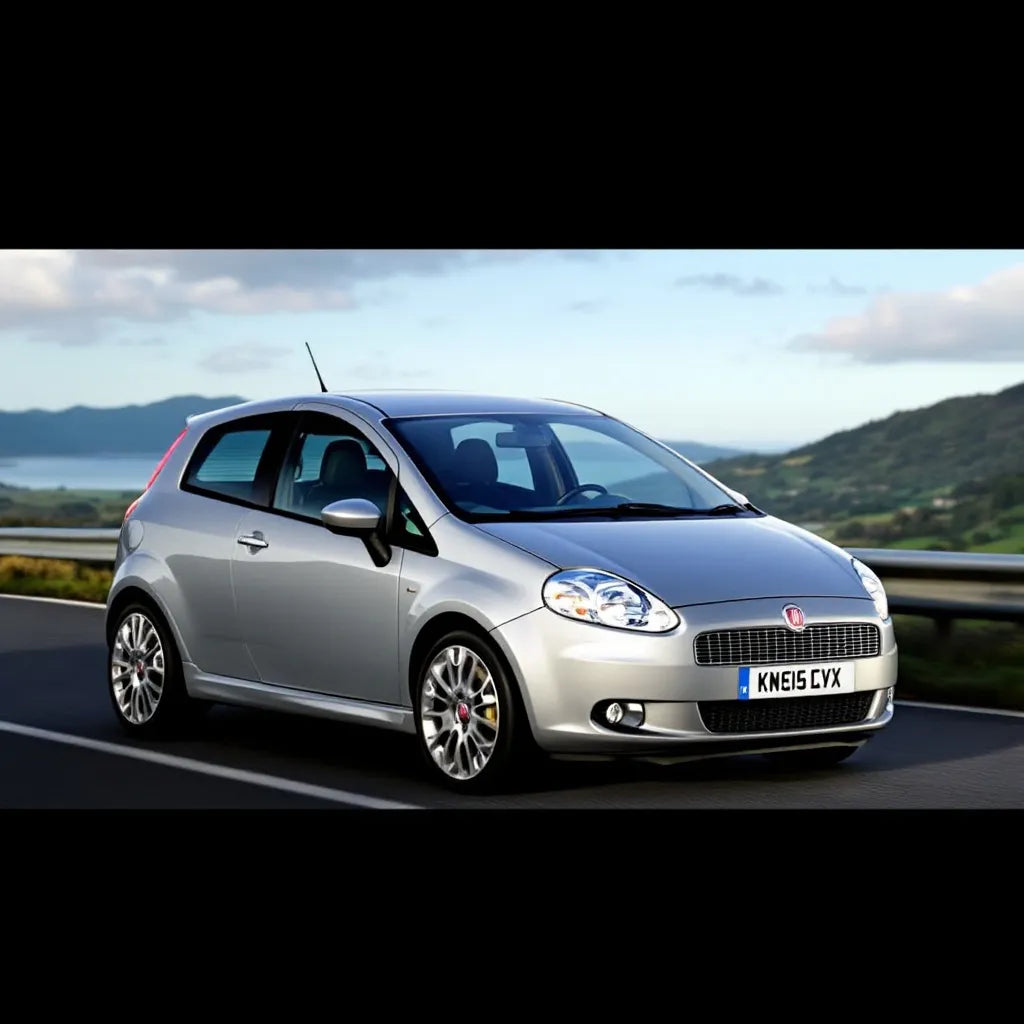 Fiat Punto Evo Diesel 1.3 MultiJet vue extérieure