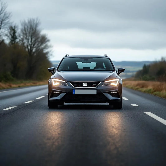 Seat Leon II Diesel 1.9 TDI 105ch grise