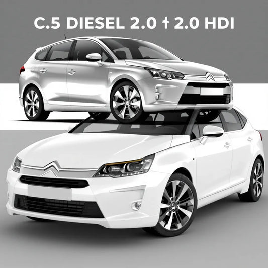 Citroën C5 II Diesel 2.0 HDi