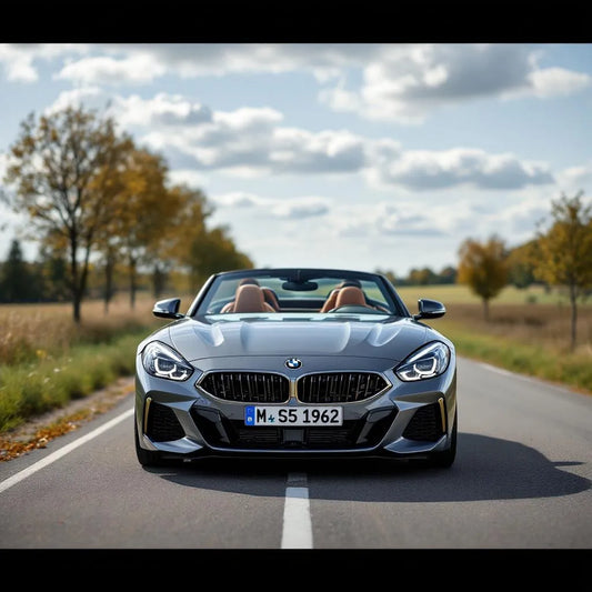 BMW Z4 E85 2.5i 192ch grise sur route