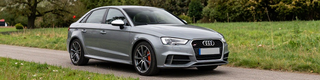 Audi S3 8P Essence 2.0 TFSI 265ch garée sur route